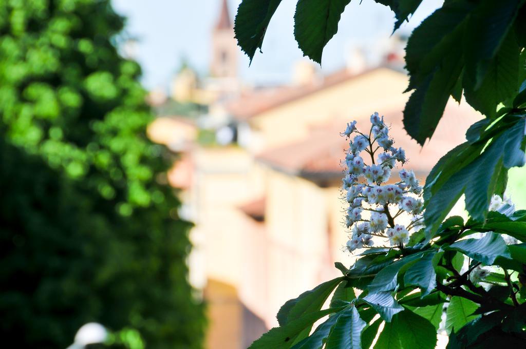 B&B Al Parco Giardini Margherita Boloňa Exteriér fotografie